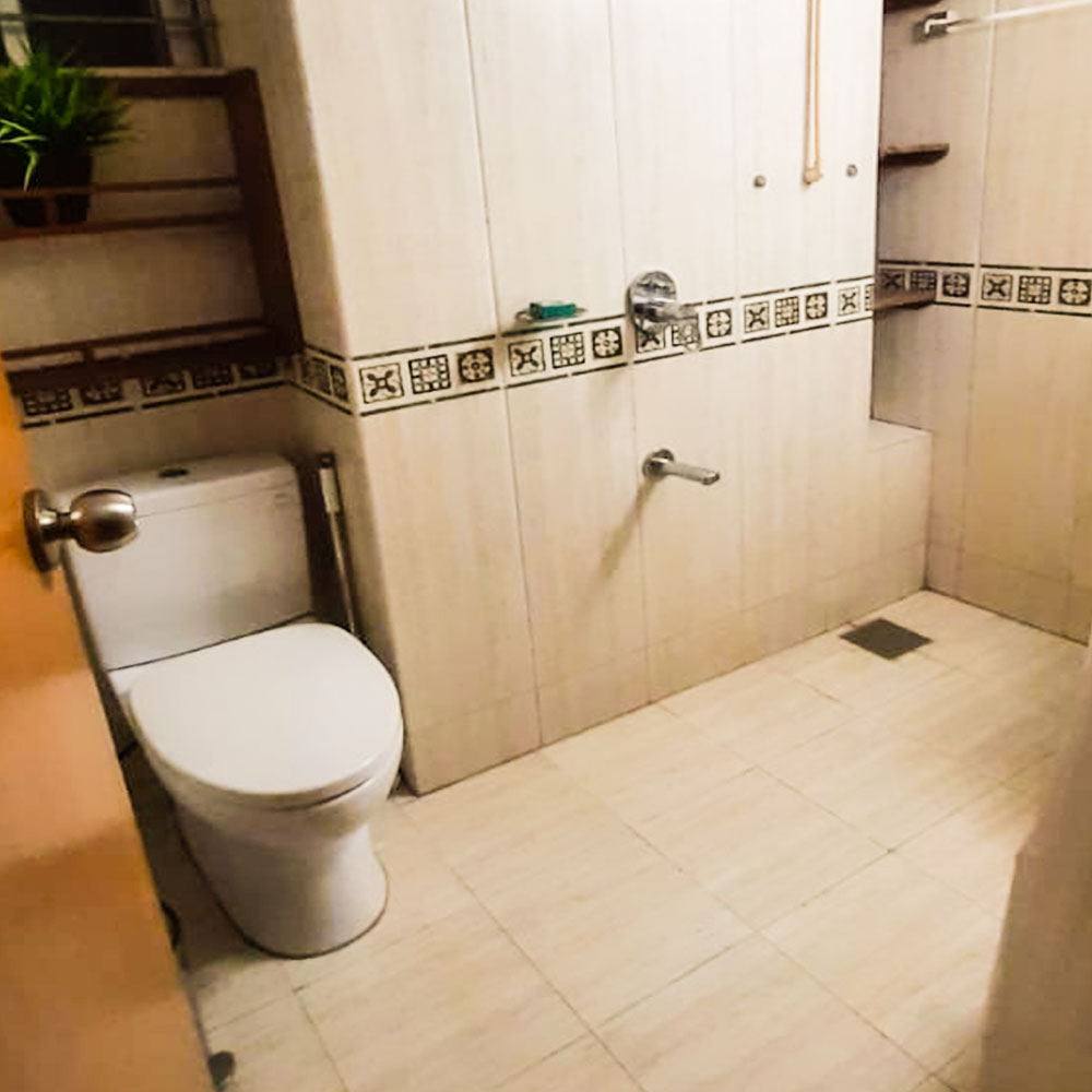 toilet1