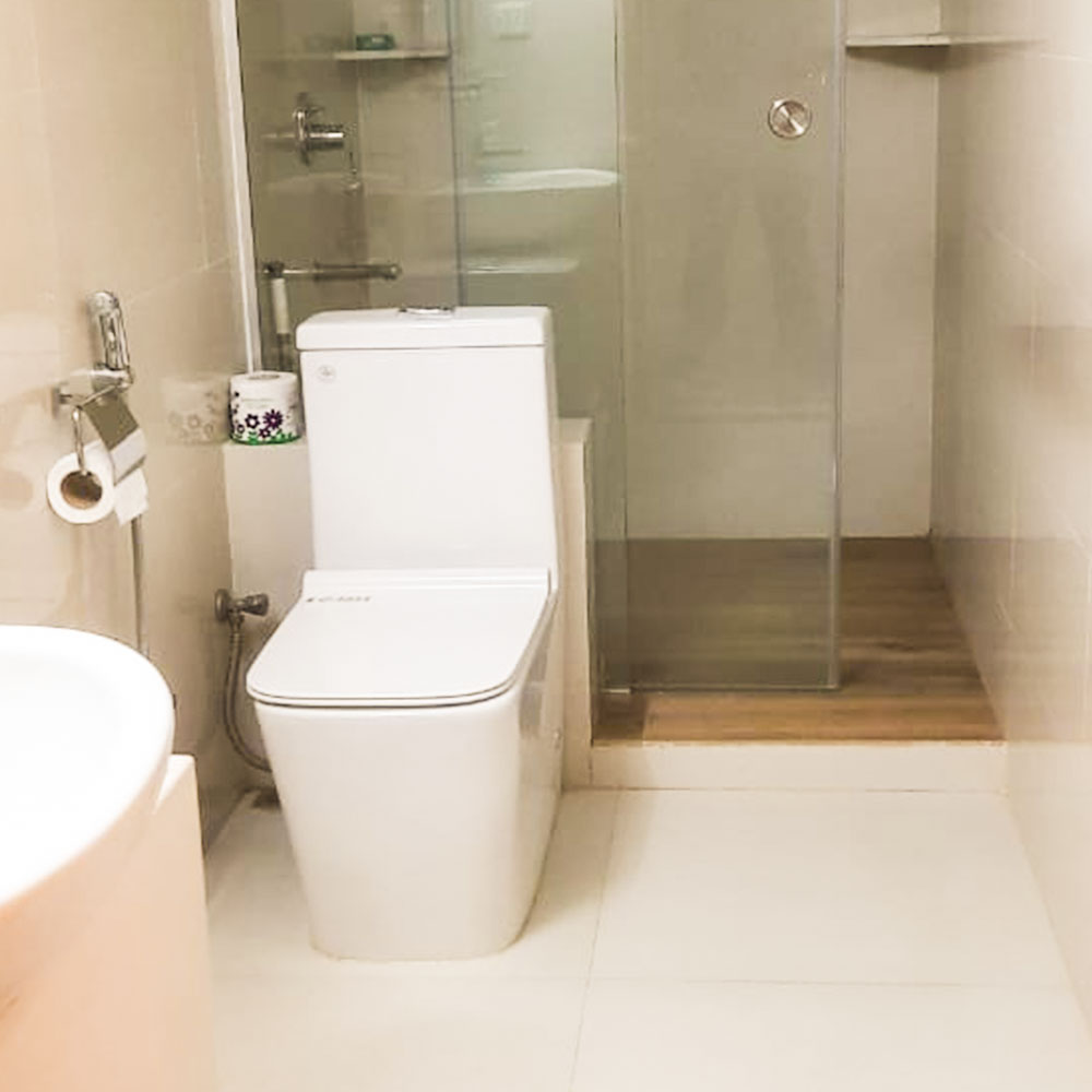 toilet2