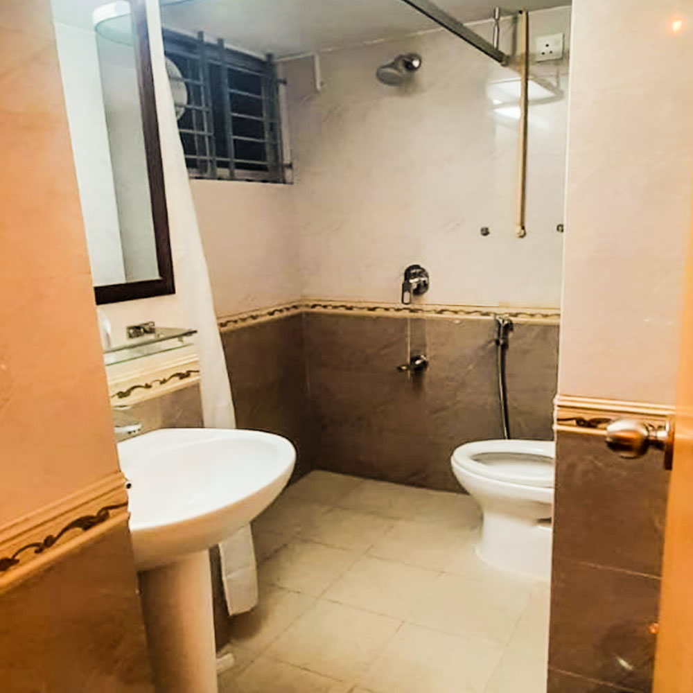 toilet3