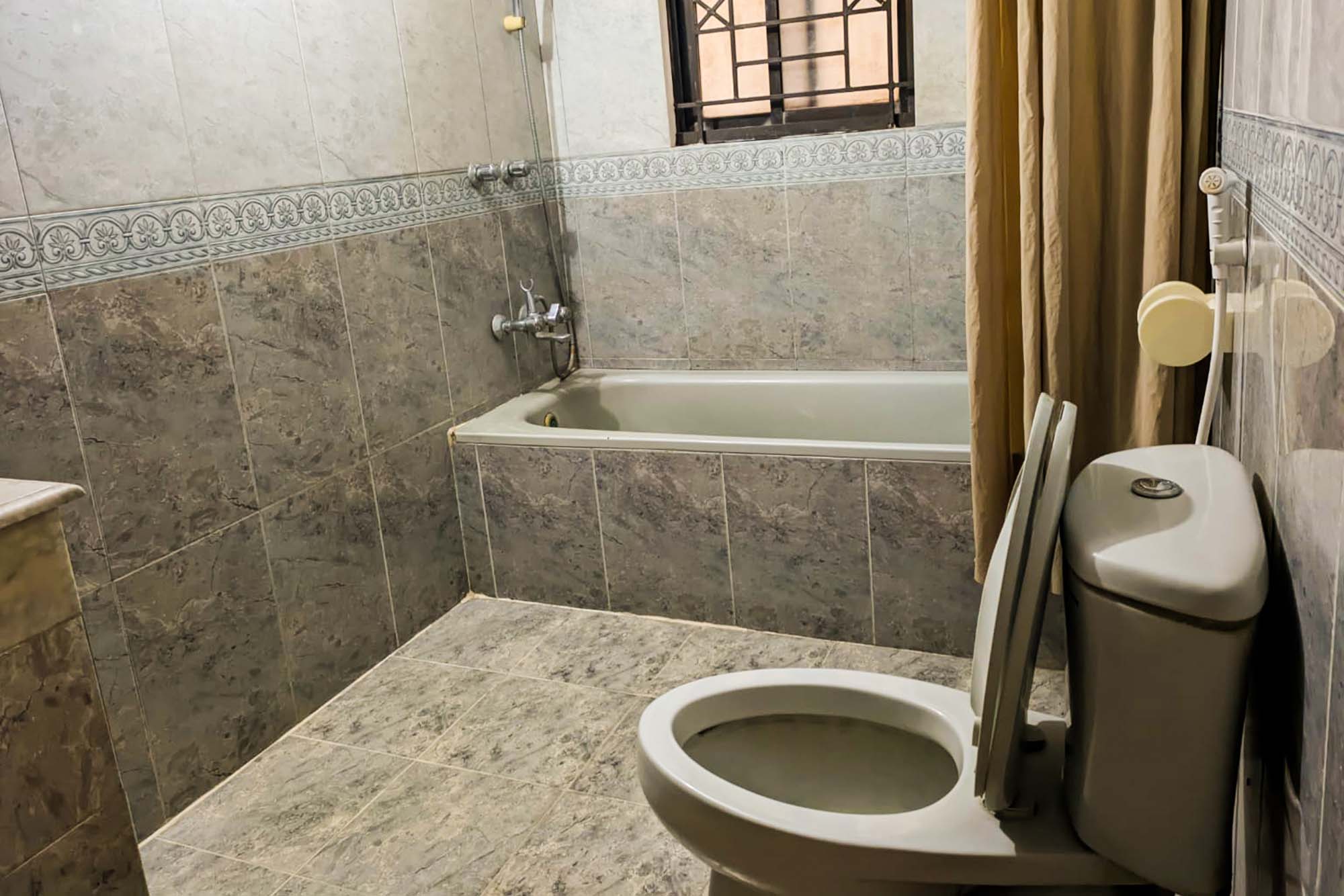 toilet1