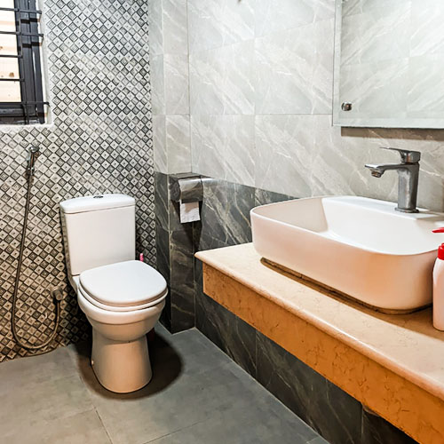 toilet2