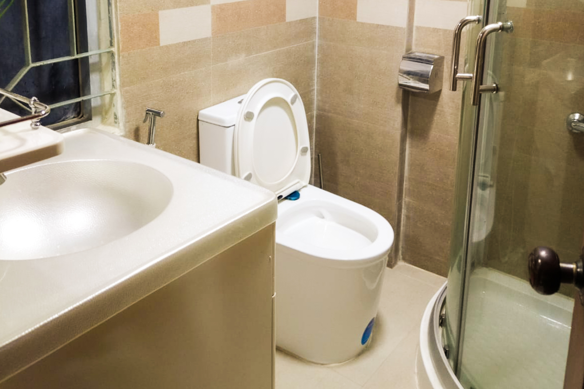 toilet3