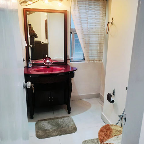 toilet1