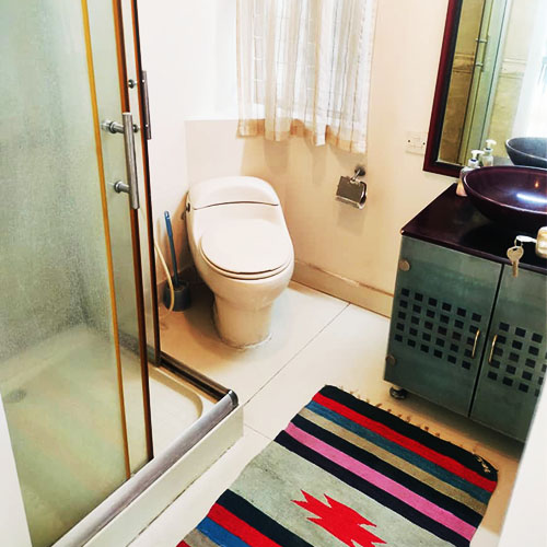 toilet2