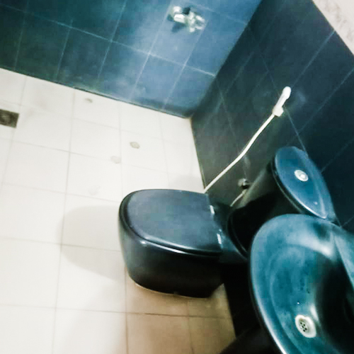 toilet2