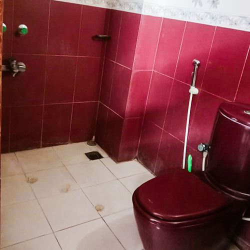 toilet4