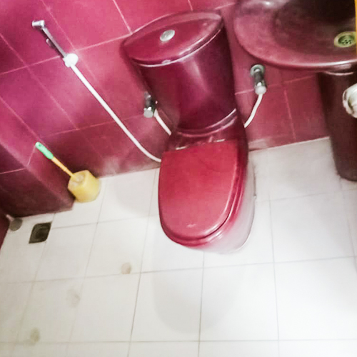 toilet5