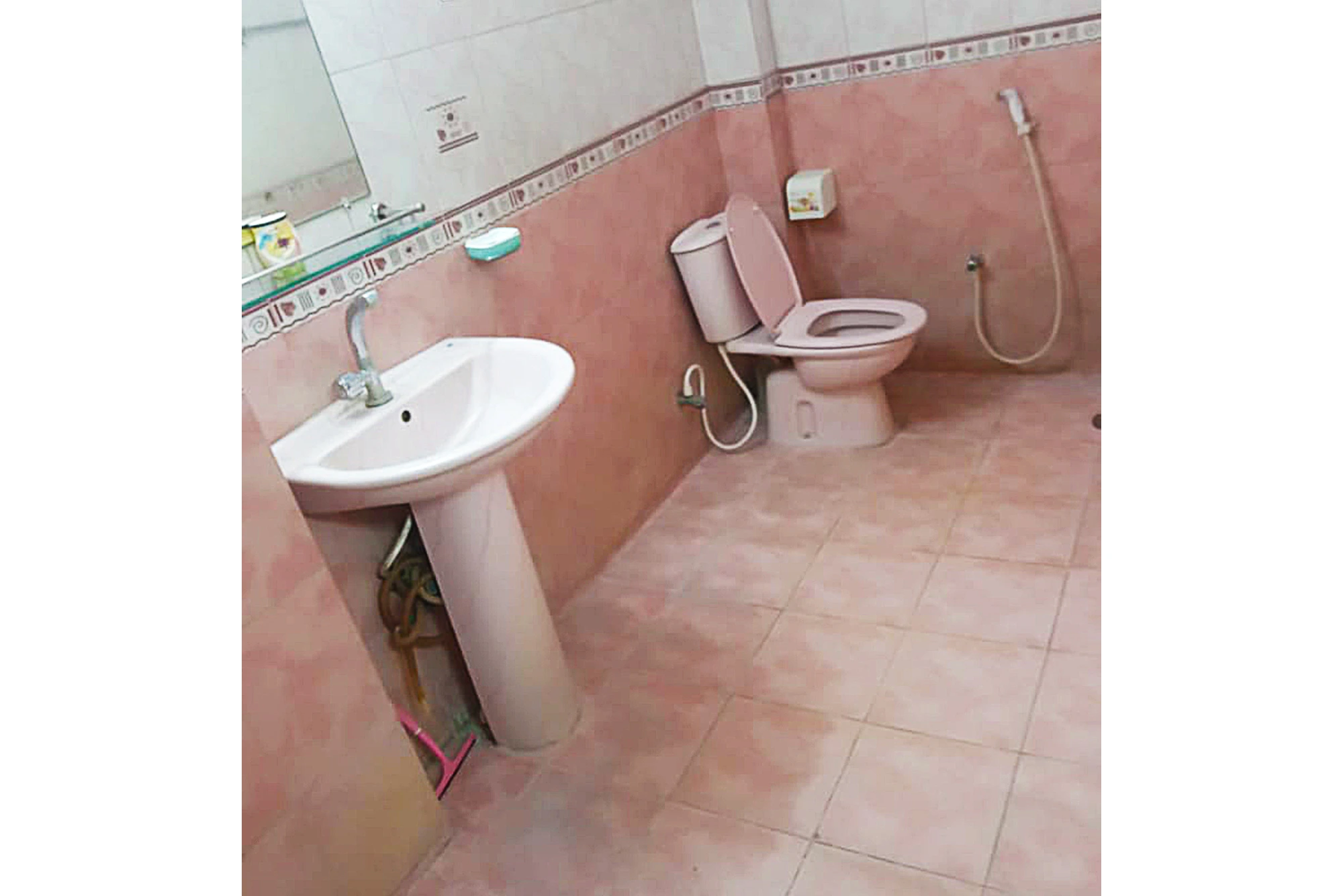 toilet1