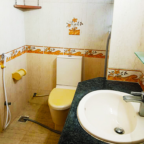 toilet11