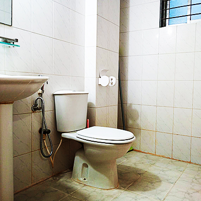toilet2