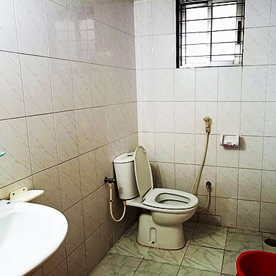 toilet3
