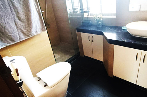 toilet21